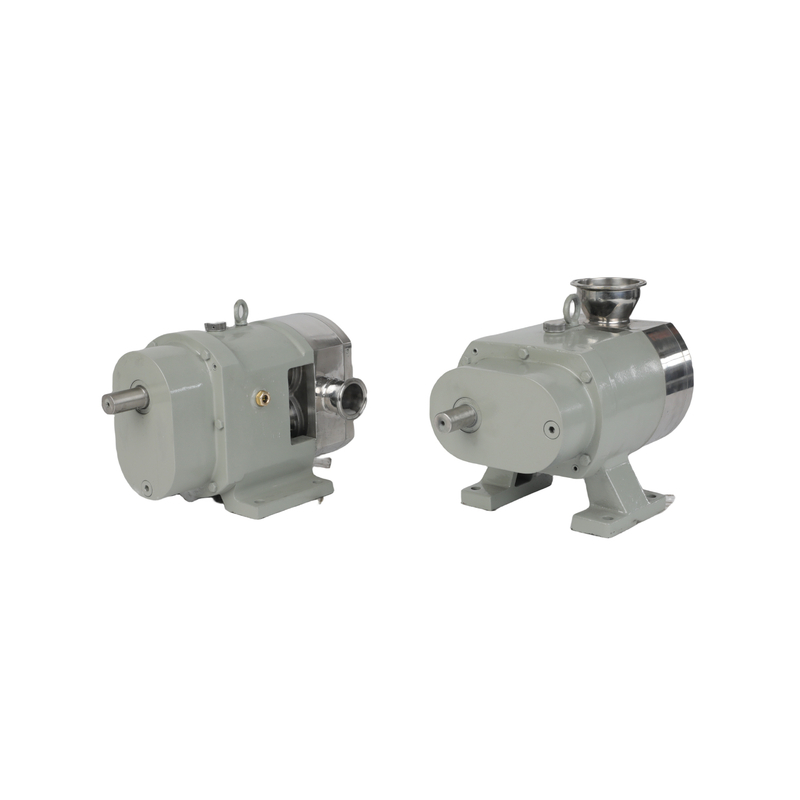Deslocamento positivo vertical sanitário de aço inoxidável 316L 0,55kw com variador de velocidade contínua