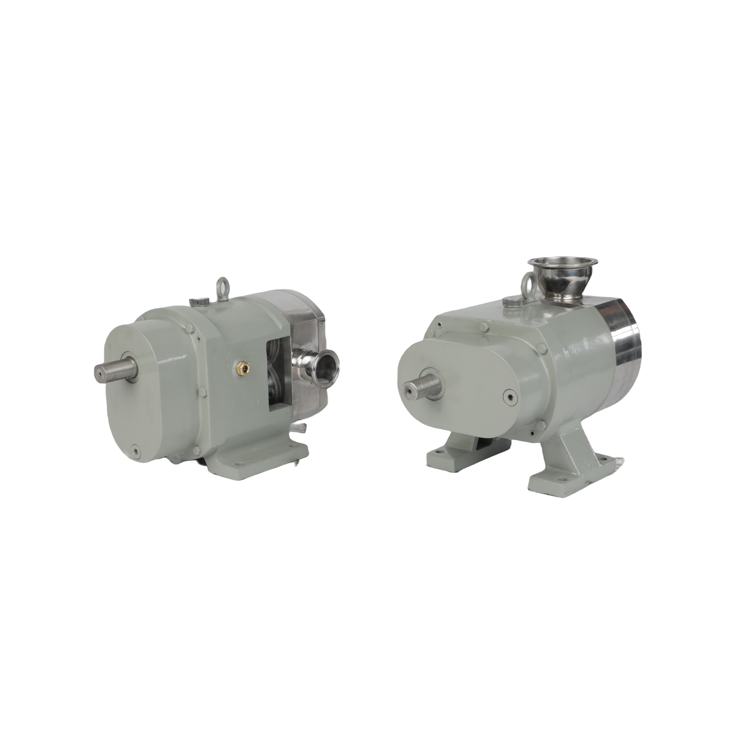 Deslocamento positivo vertical sanitário de aço inoxidável 316L 0,55kw com variador de velocidade contínua