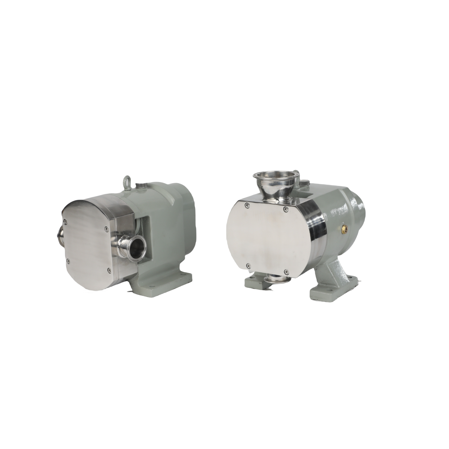 Deslocamento positivo vertical sanitário de aço inoxidável 316L 0,55kw com variador de velocidade contínua
