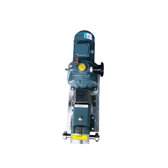 O móbil vertical do produto comestível SS316L absorve a bomba com controlador de frequência