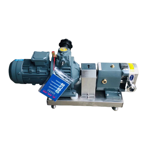 O móbil vertical do produto comestível SS316L absorve a bomba com controlador de frequência