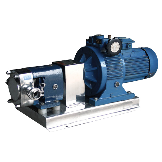 O móbil vertical do produto comestível SS316L absorve a bomba com controlador de frequência