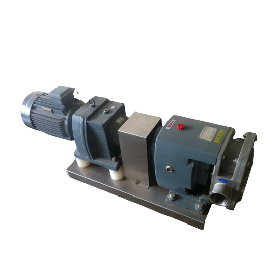 O móbil vertical do produto comestível SS316L absorve a bomba com controlador de frequência